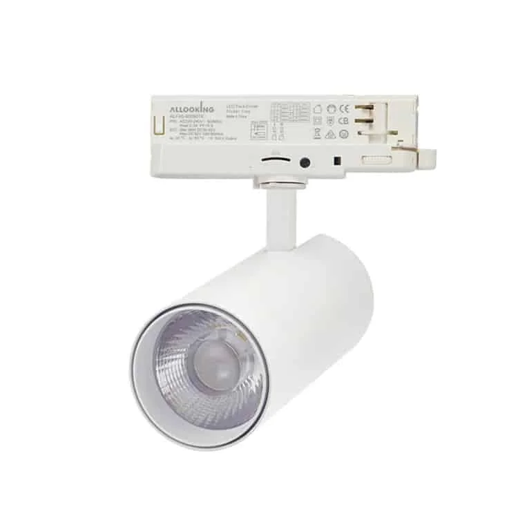 Adaptöründe sürücü bulunan ray spot