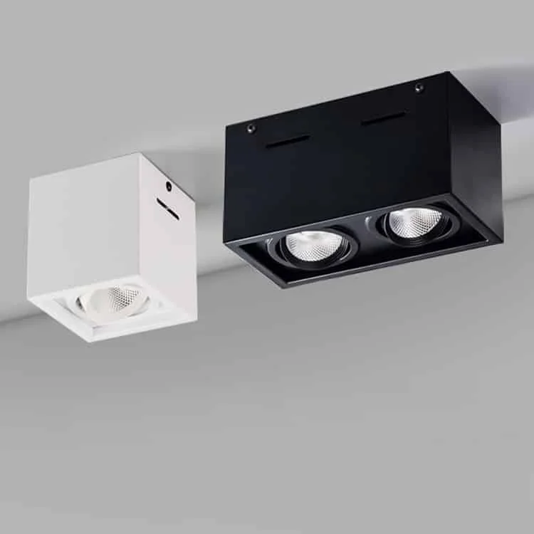 Bir veya iki yönlendirilebilir spotlu sıva üstü downlight