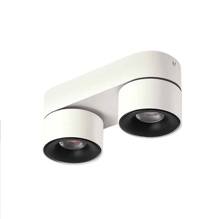 Yönlendirilebilir ikili sıva üstü downlightlar