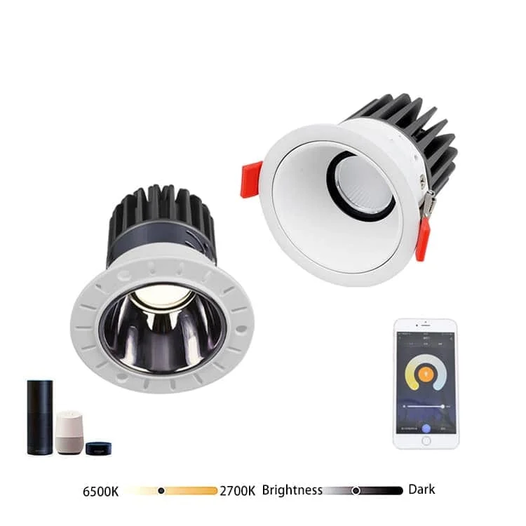 Zigbee 3.0 kontrollü yönlendirilebilir DL-ZS spotlar